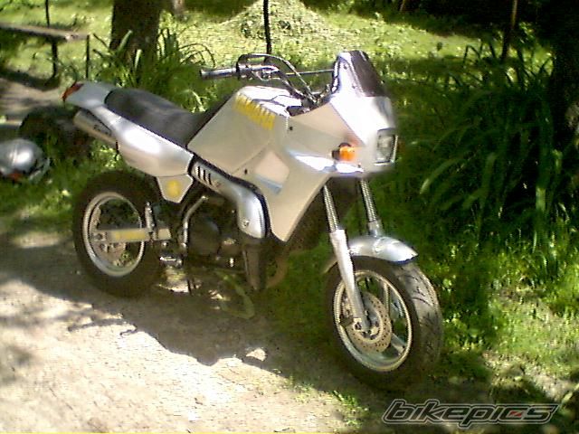 Photo 1568571