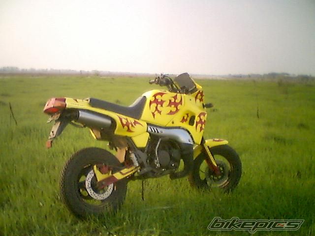 Photo 1568616