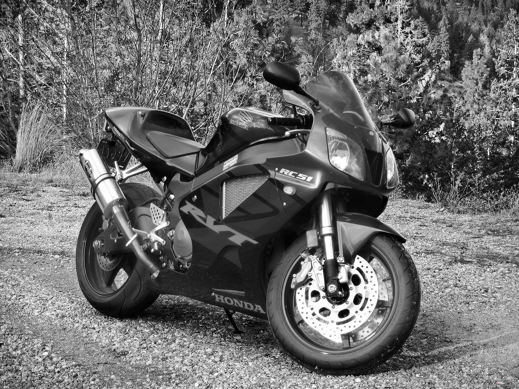 Photo 1568673