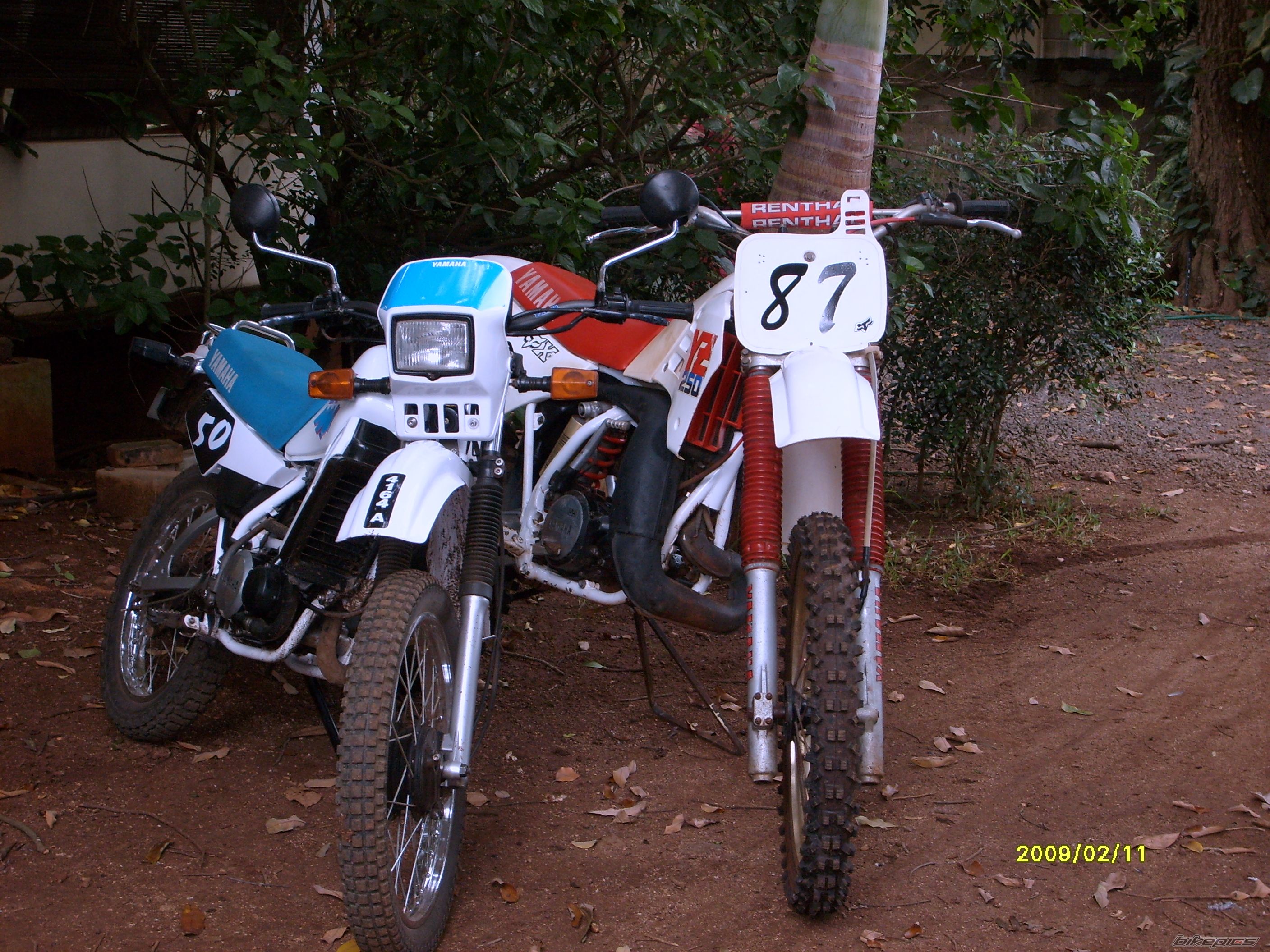 Photo 1568742