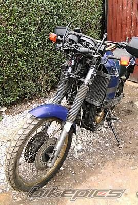 Photo 1568777