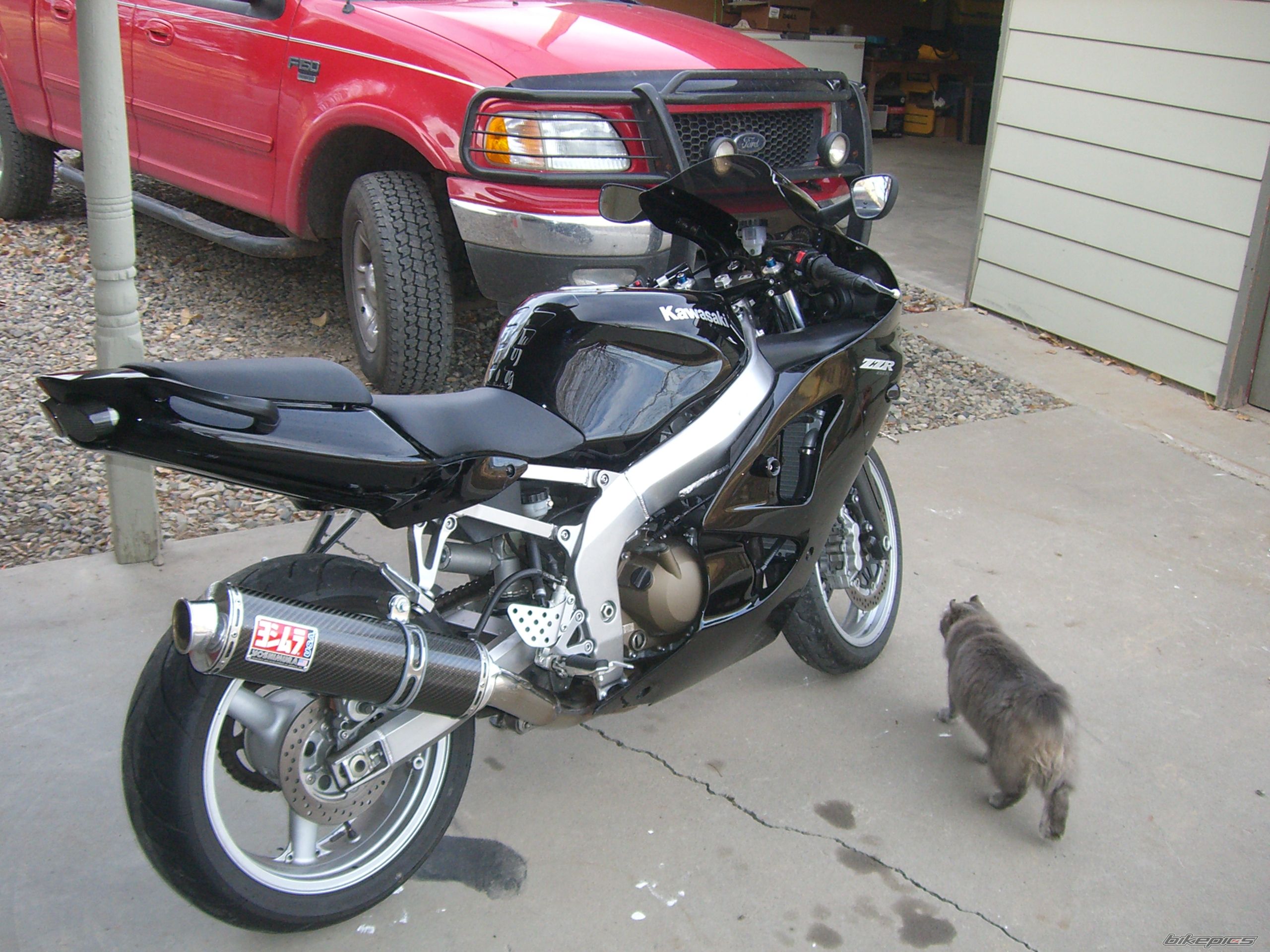 Photo 1568846