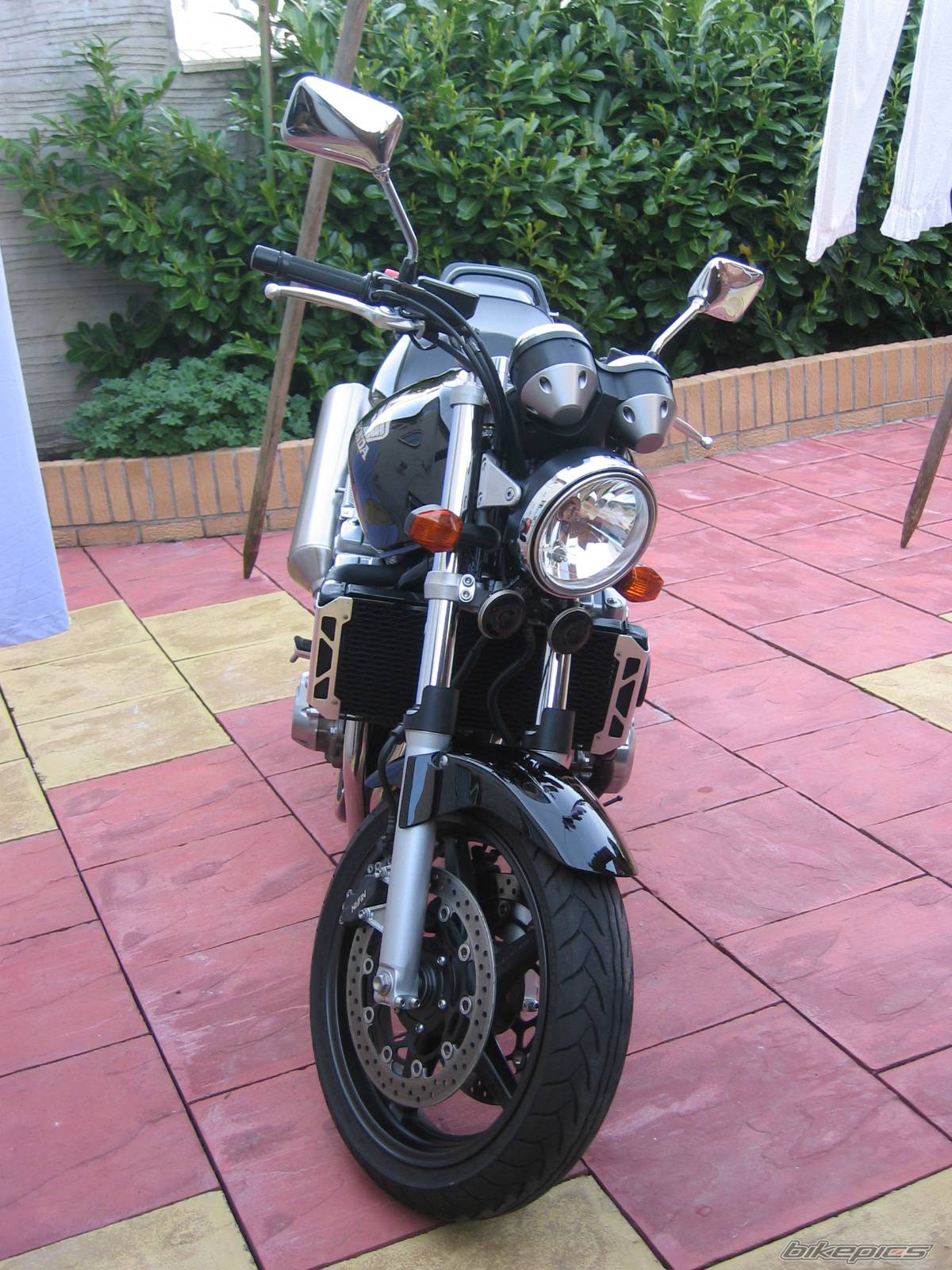 Photo 156897