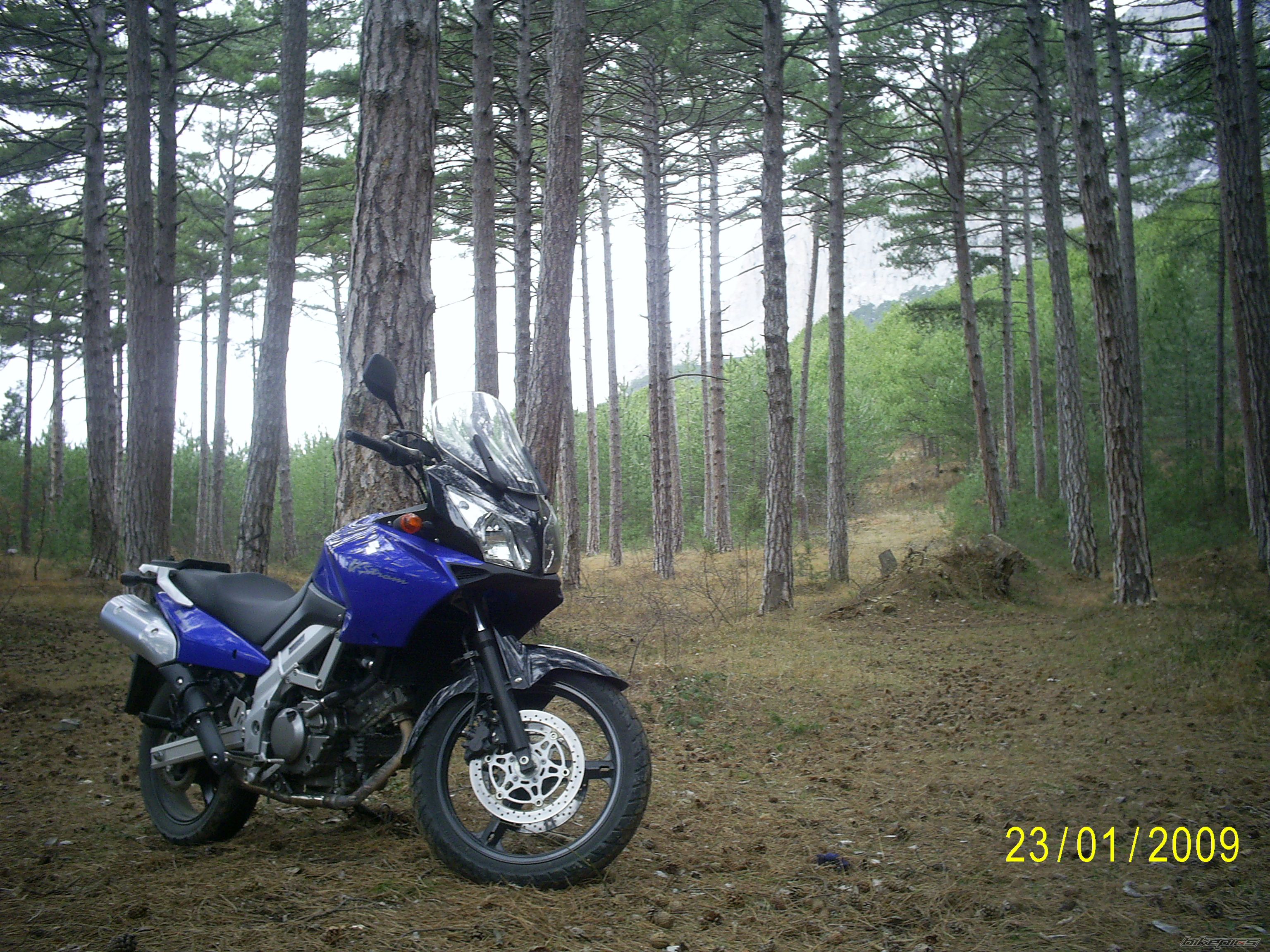 Photo 1569098