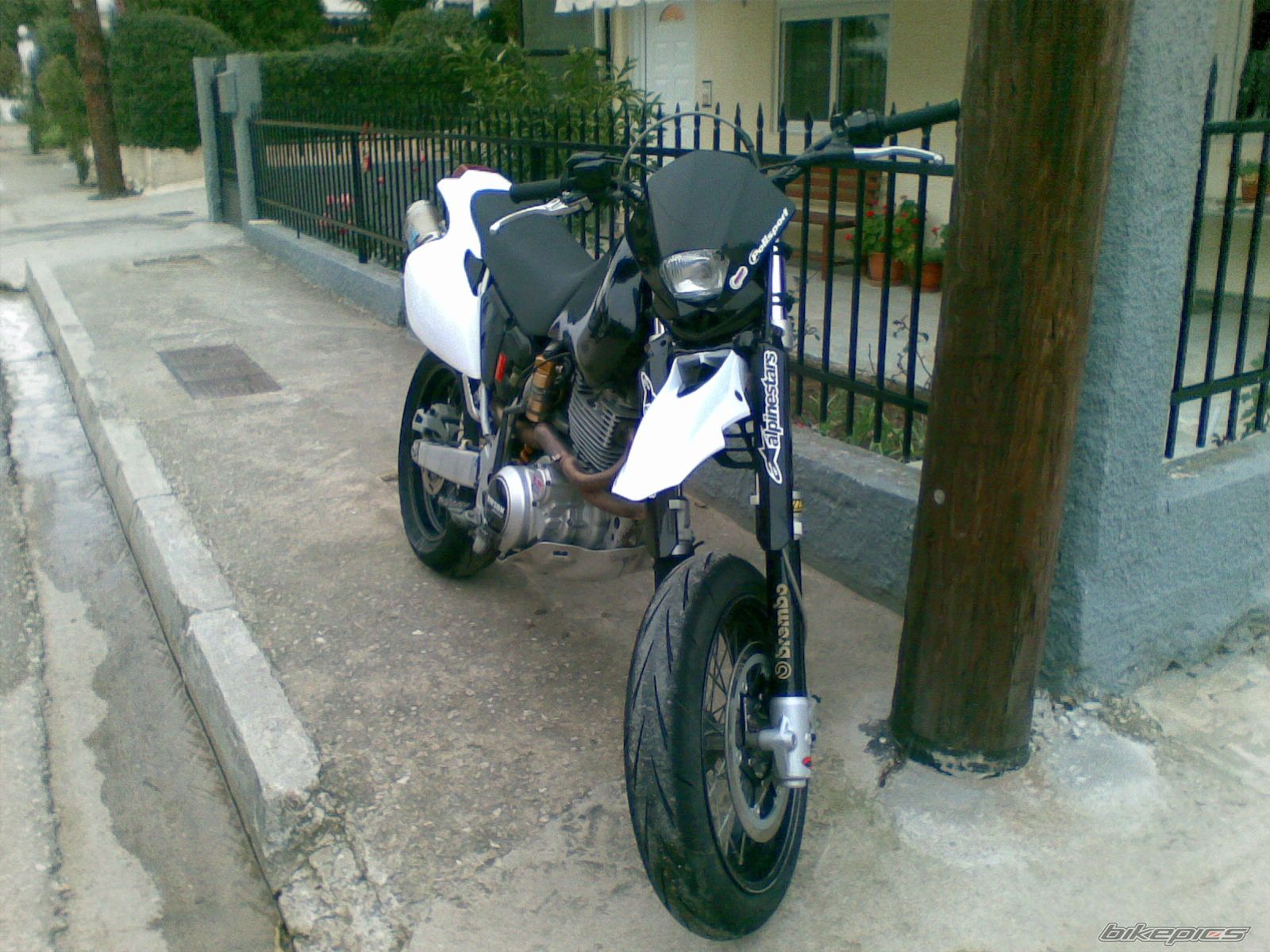 Photo 1569225