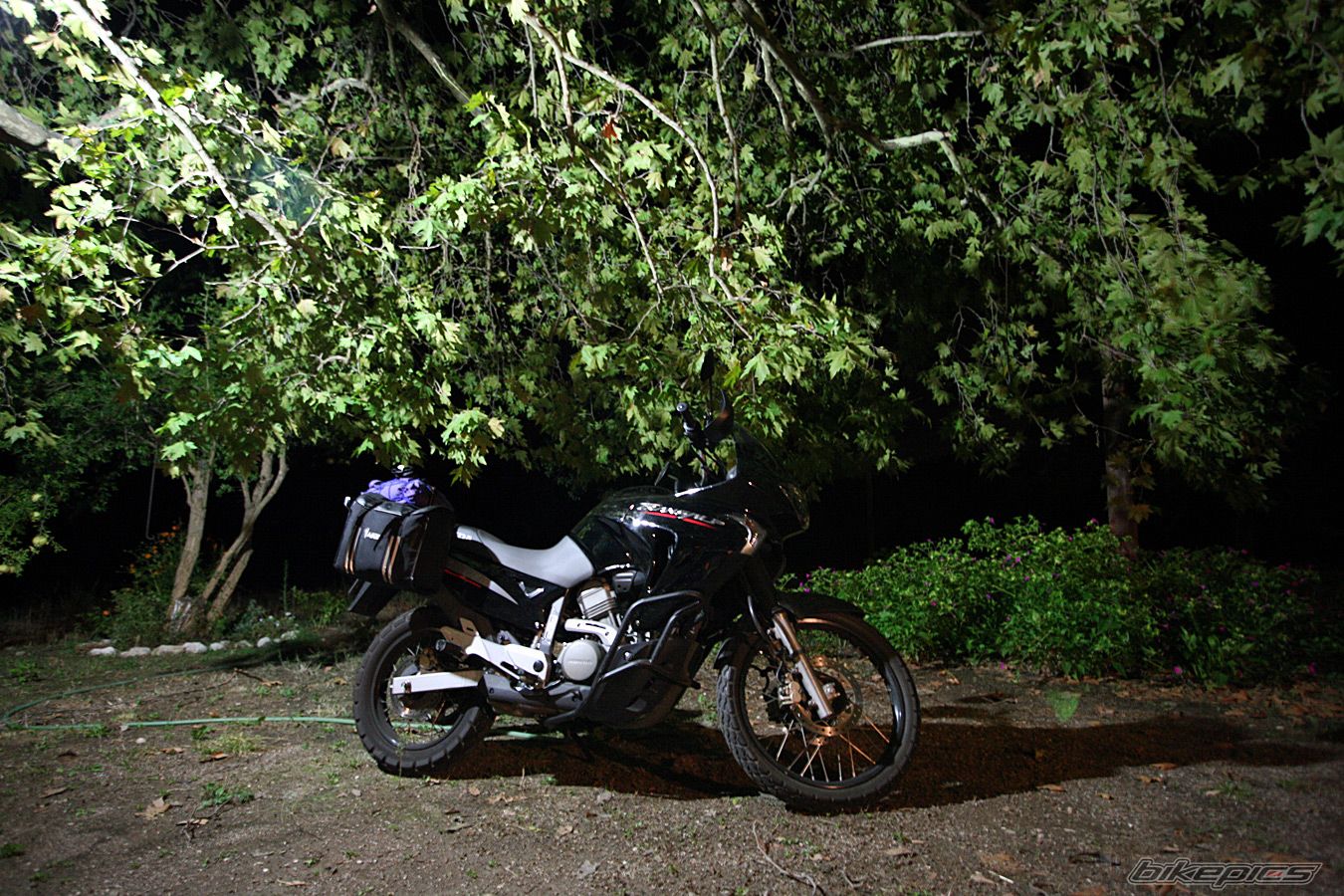 Bike Photo 1569226
