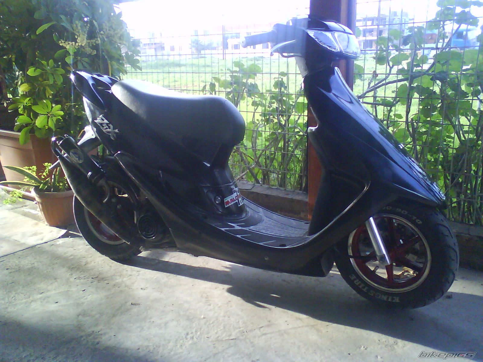 Photo 1569245