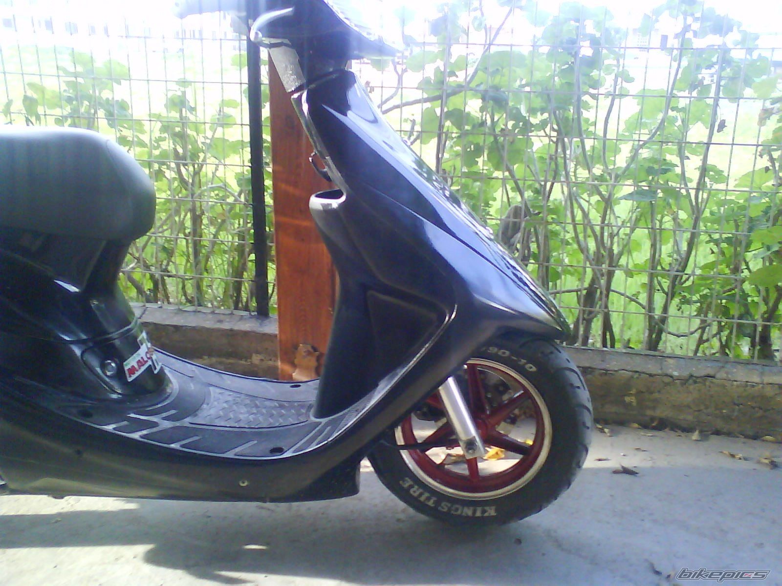 Photo 1569280
