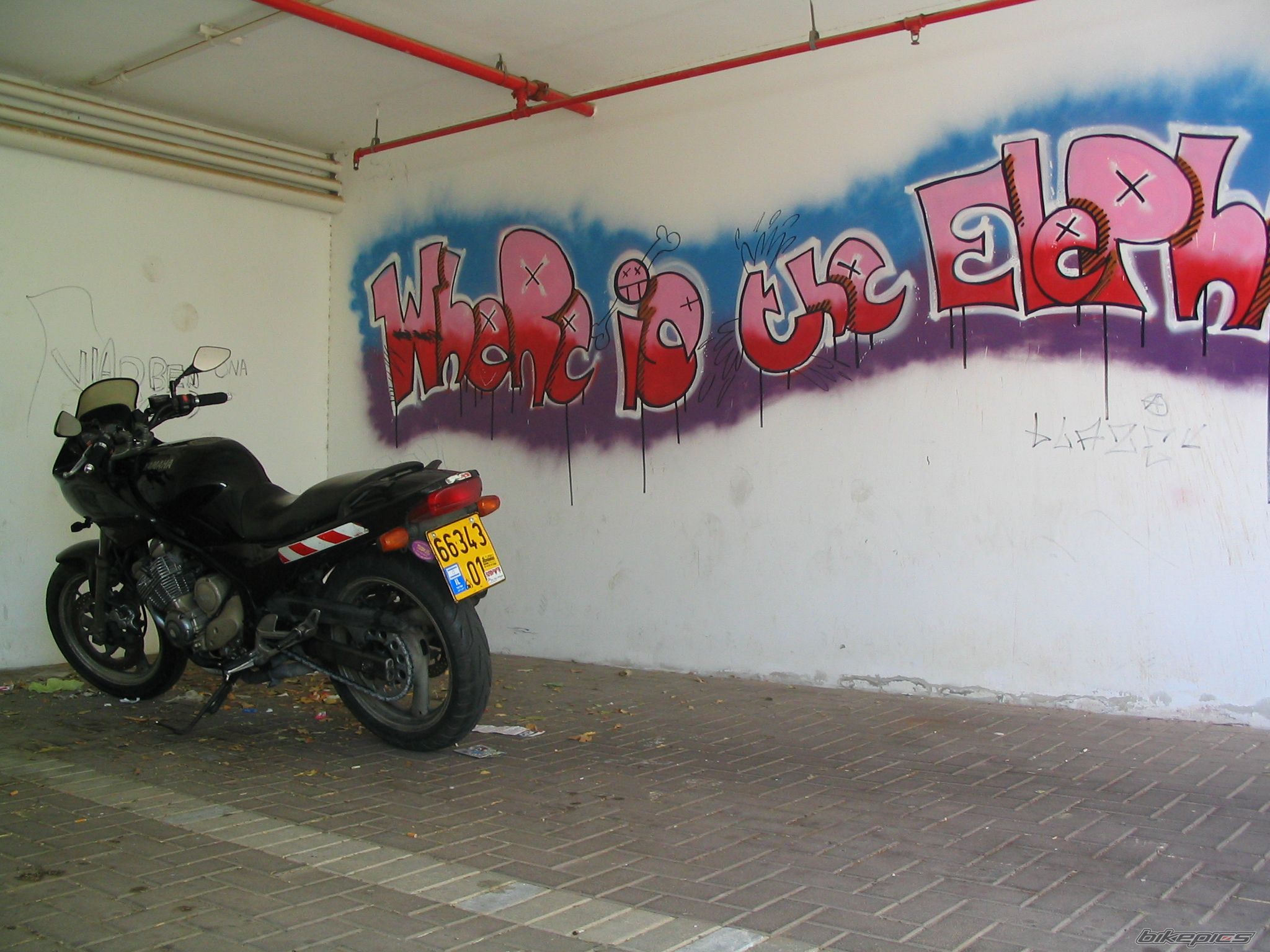 Photo 1569371