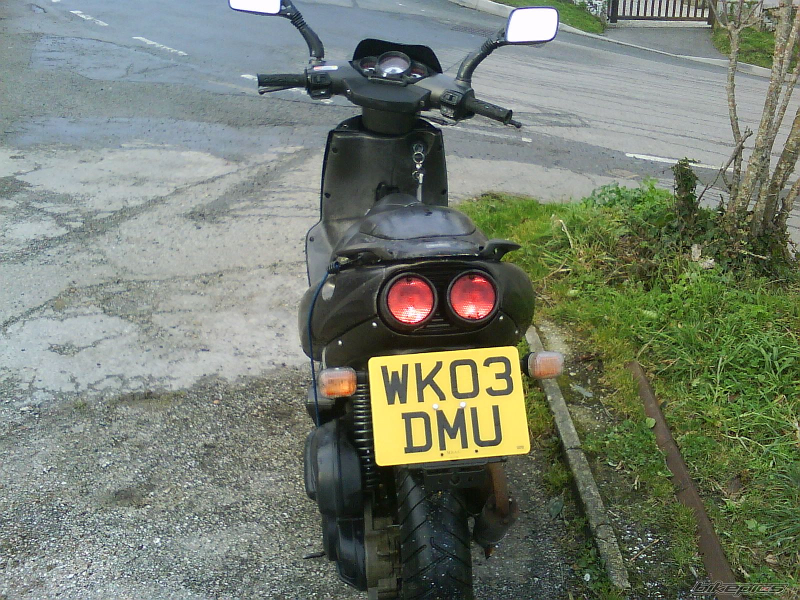Photo 1569397
