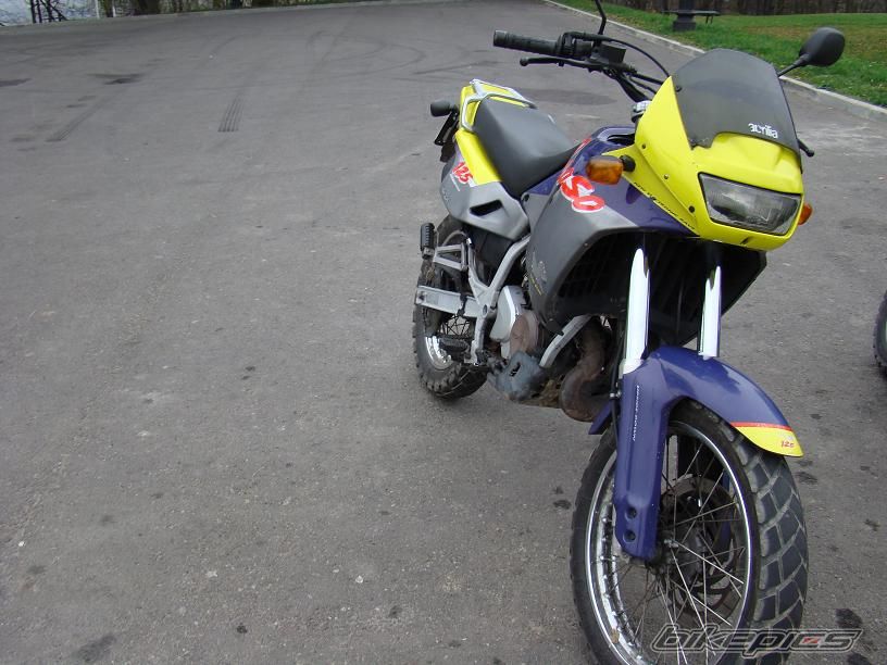 Photo 1569424