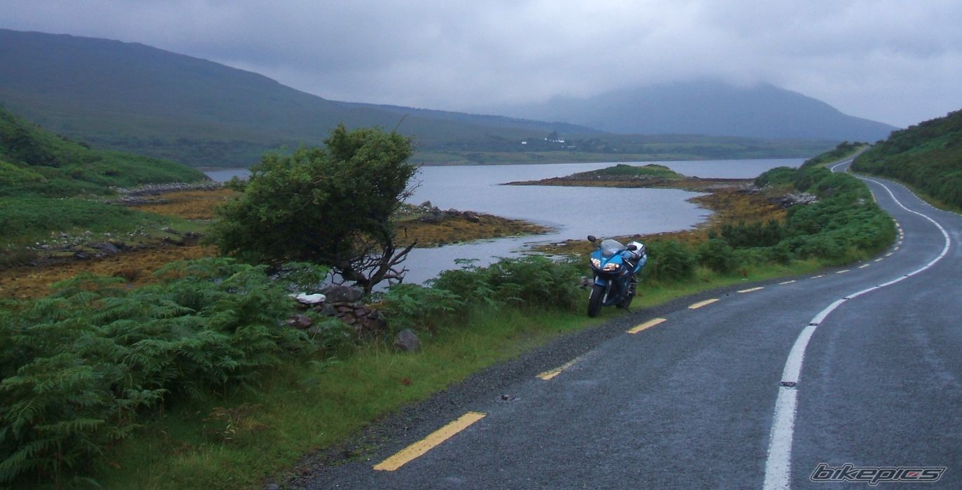 Photo 1569435