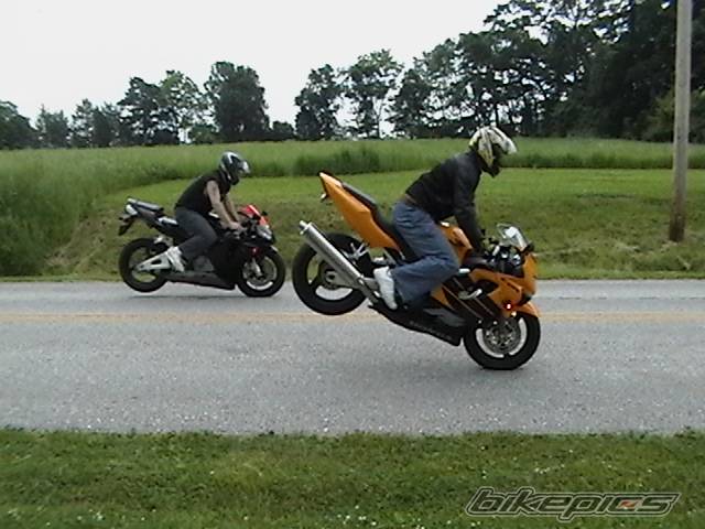Photo 156960