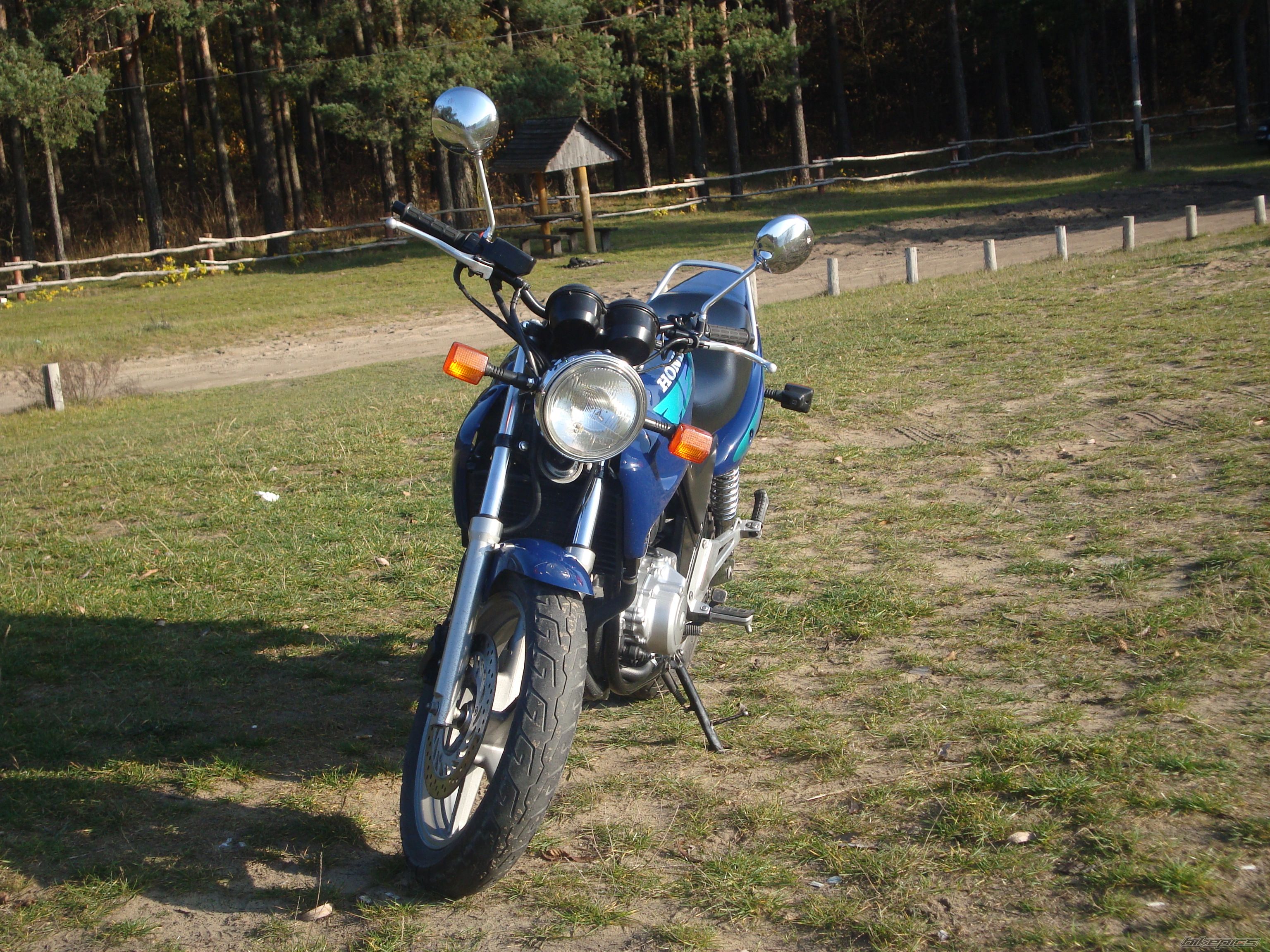 Photo 1569669