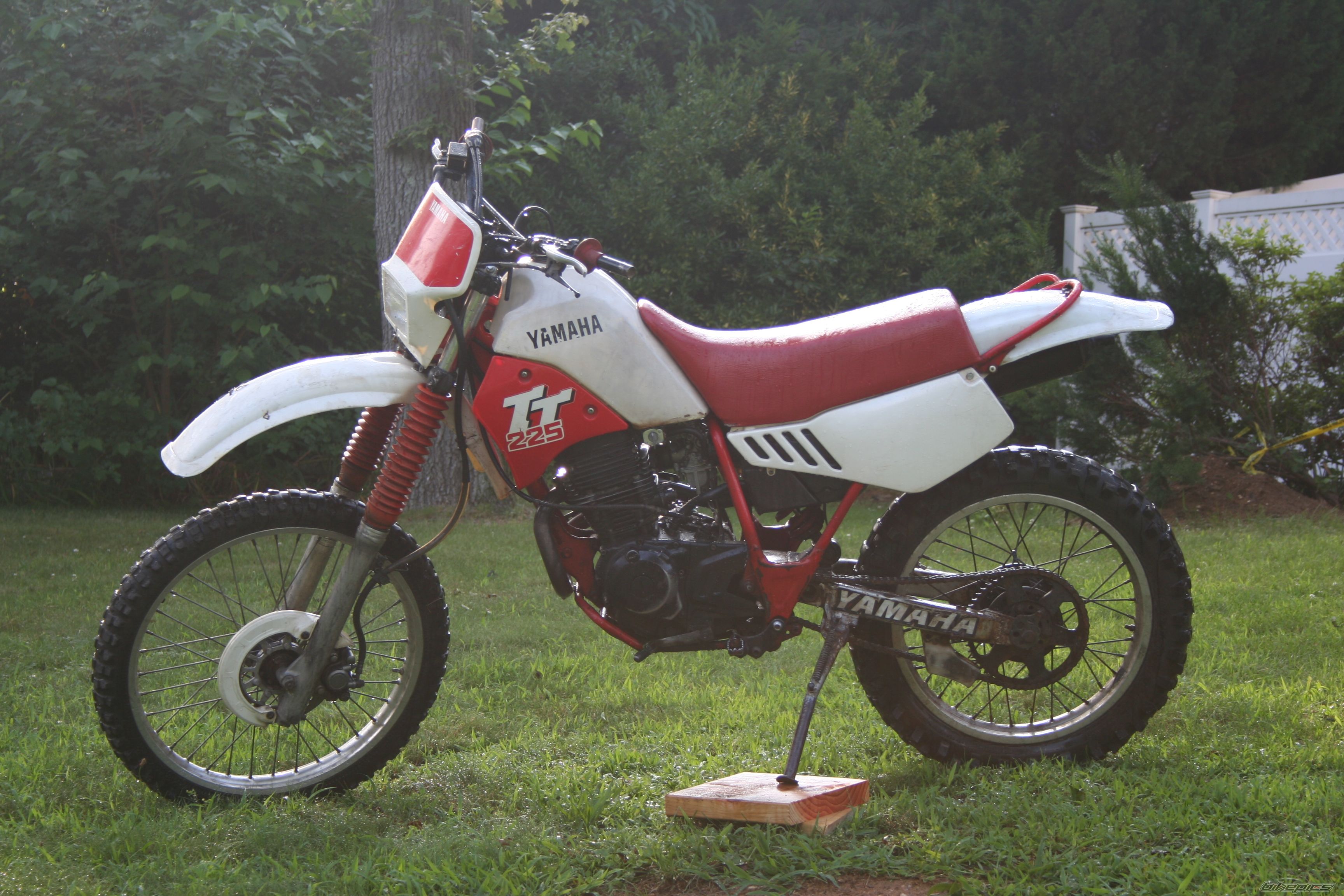 Photo 1569688