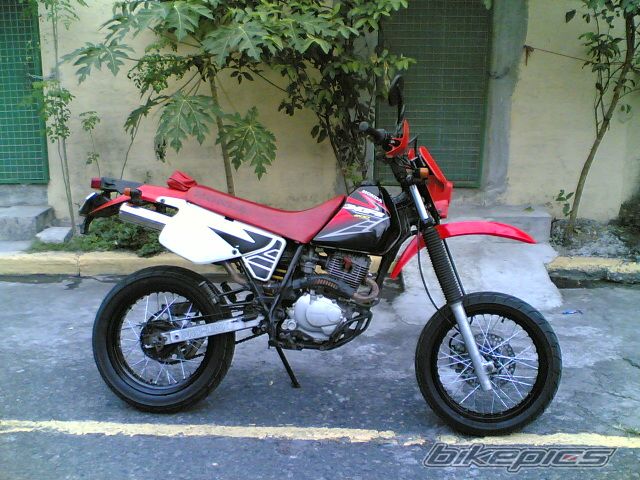 Photo 1569772