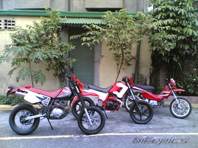 Photo 1569778
