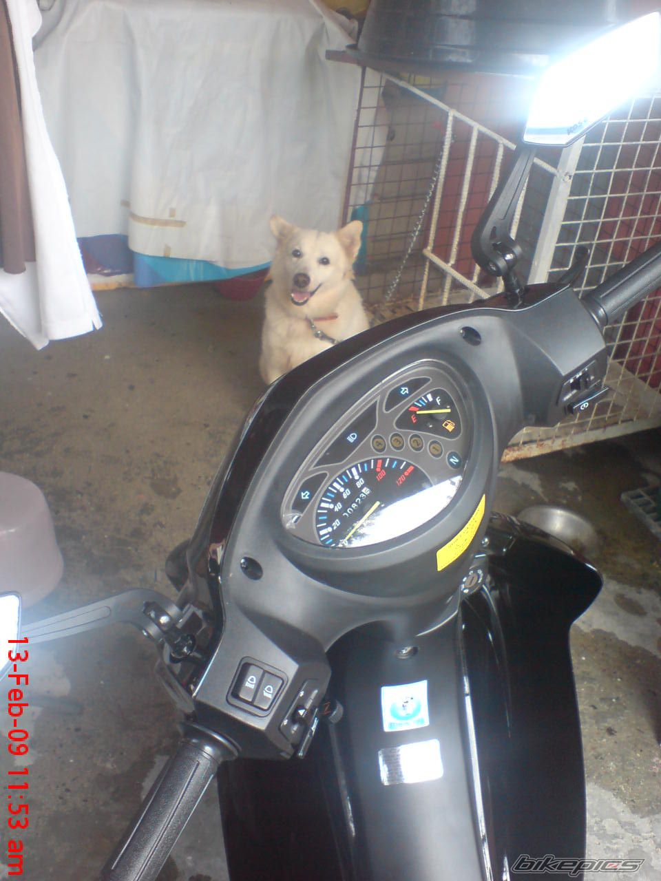 Photo 1569784