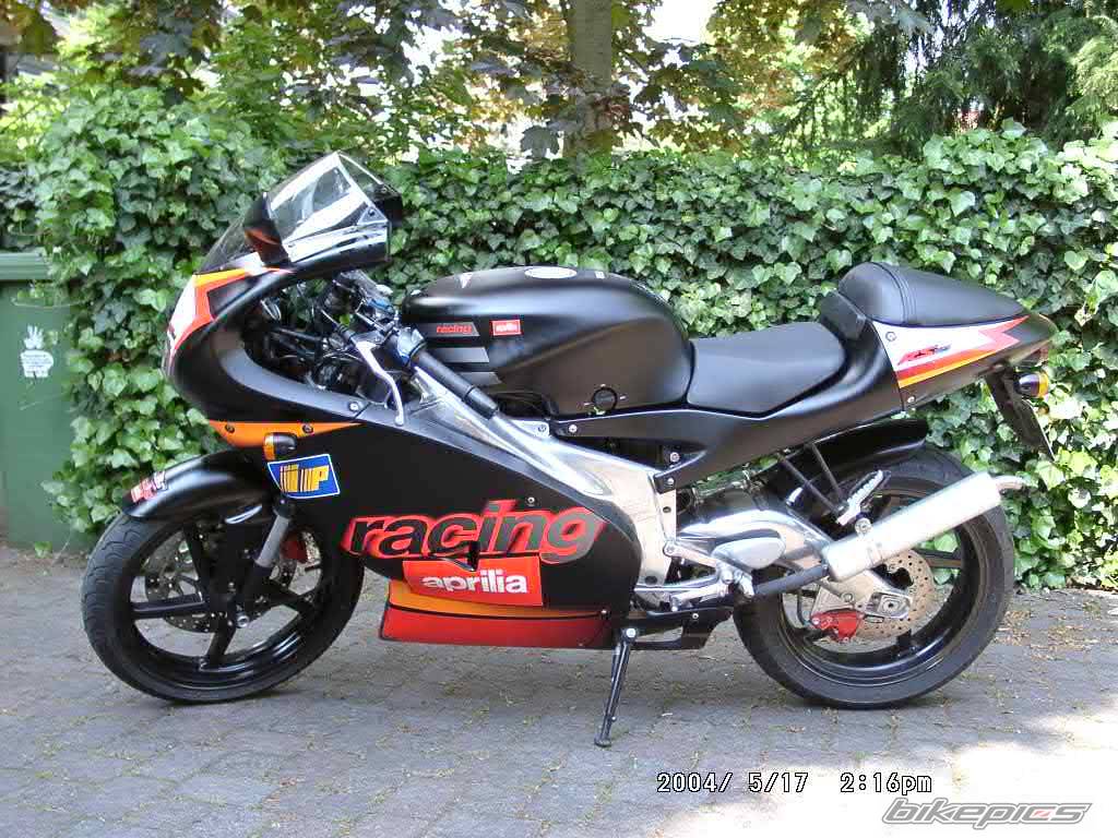 Photo 156981