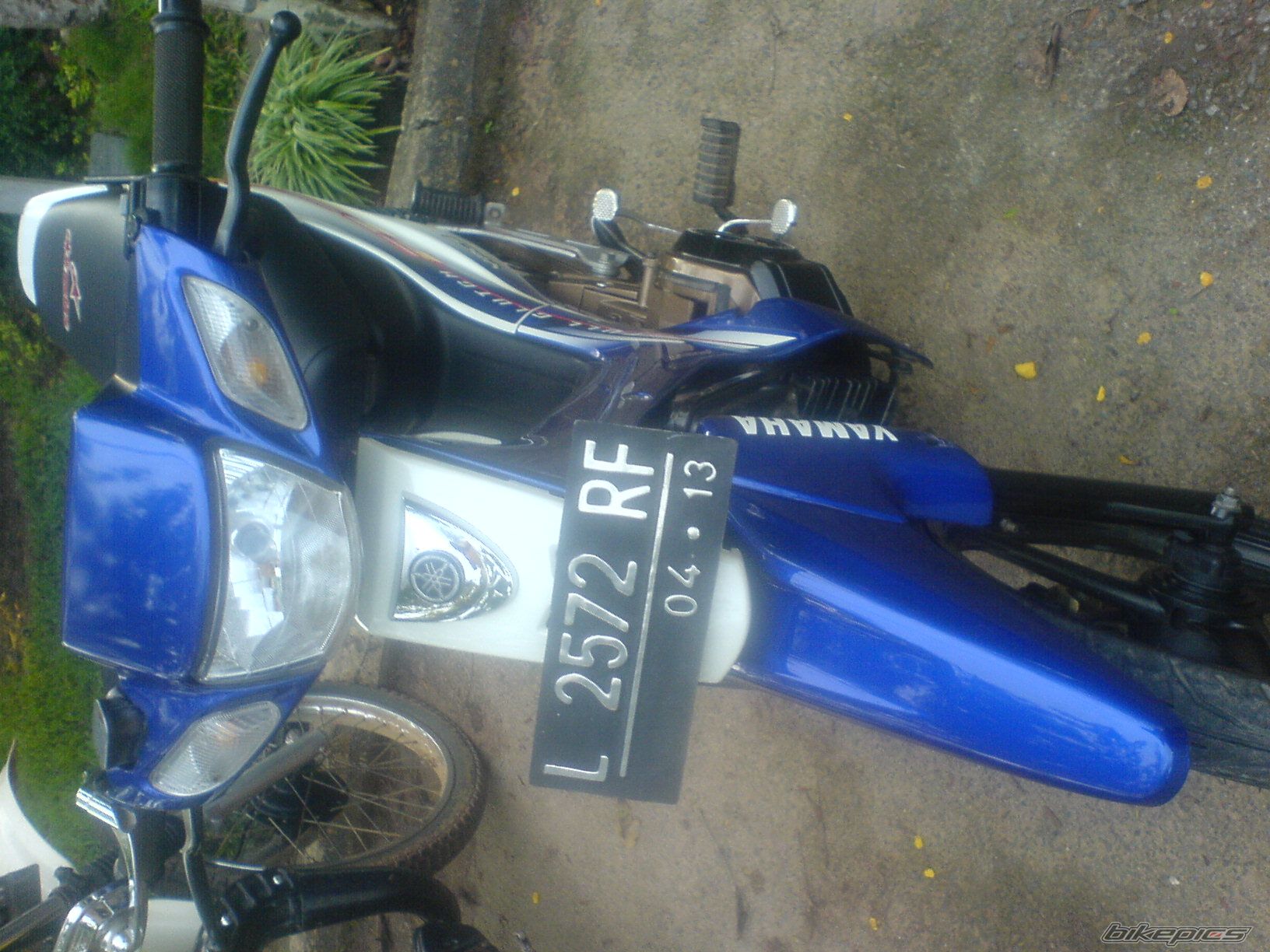 Photo 1569854