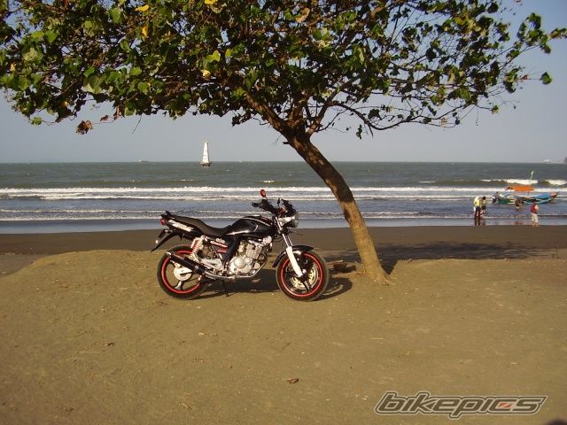 Bike Photo 1569869