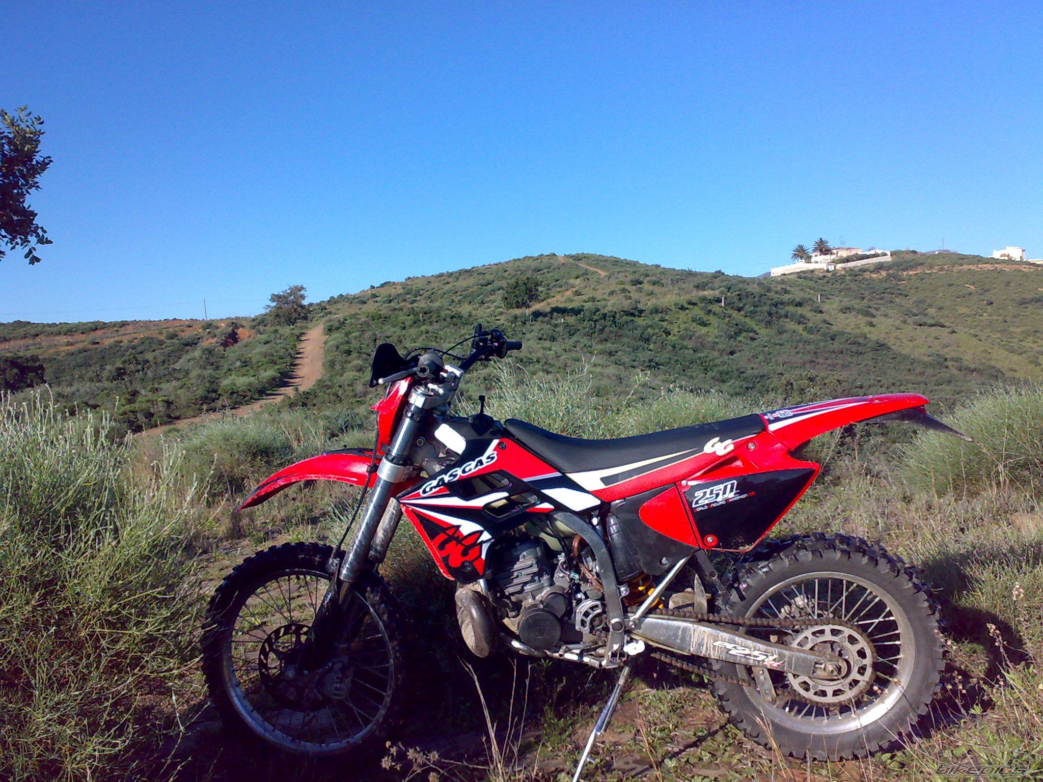 Photo 1569917