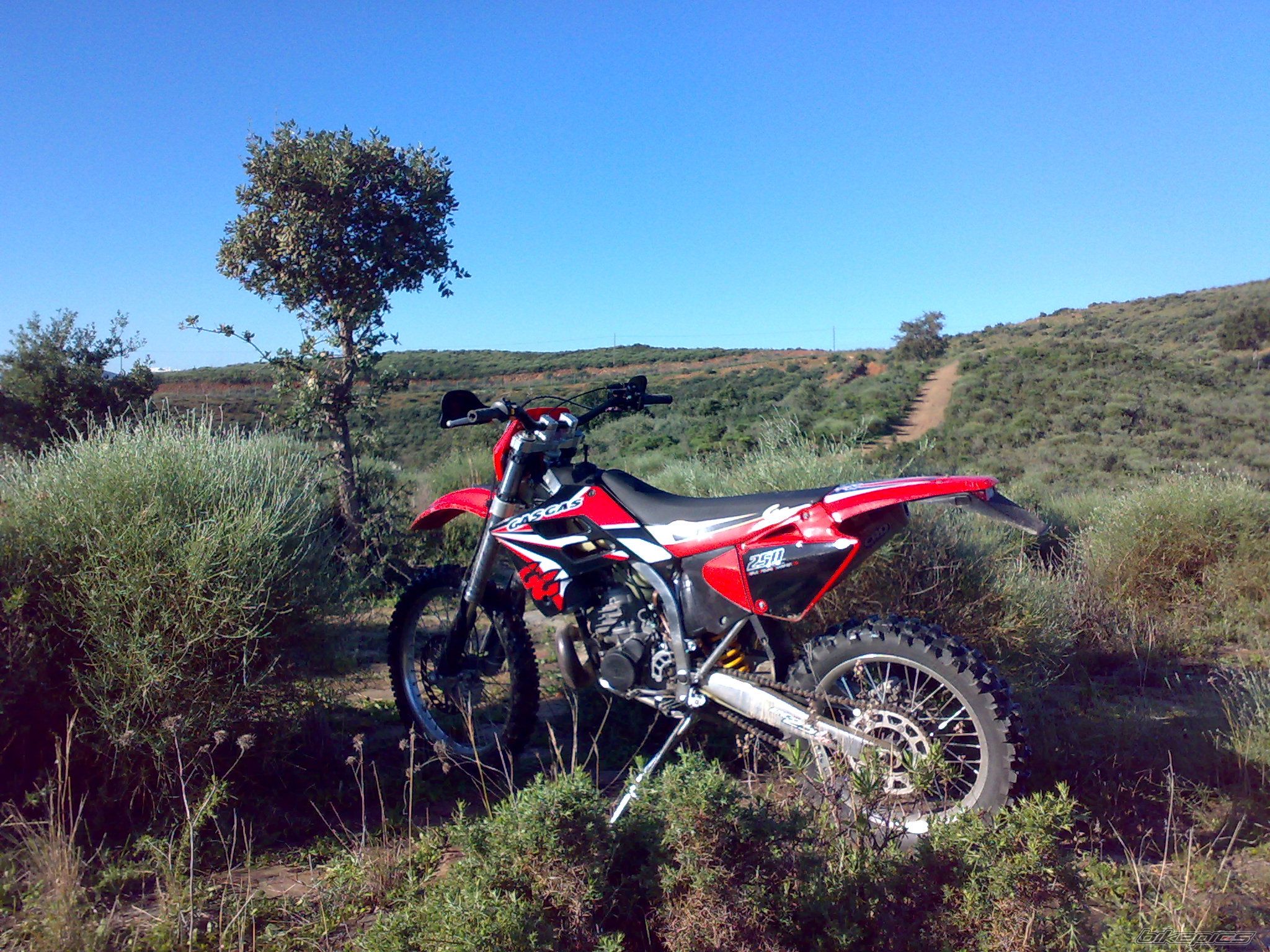 Photo 1569918
