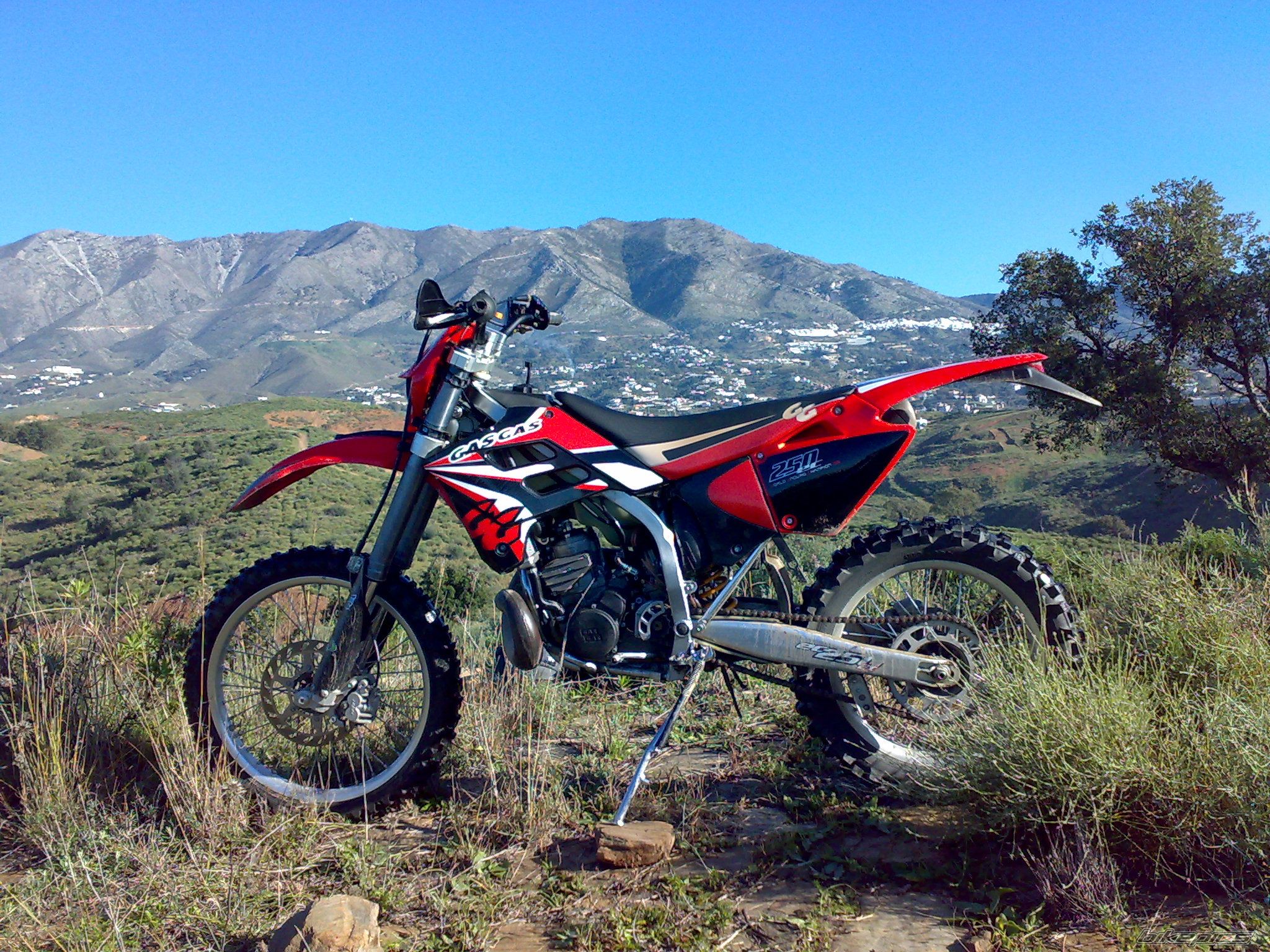 Photo 1569925