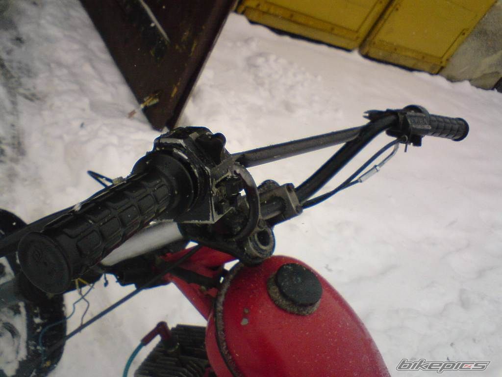 Photo 1570010