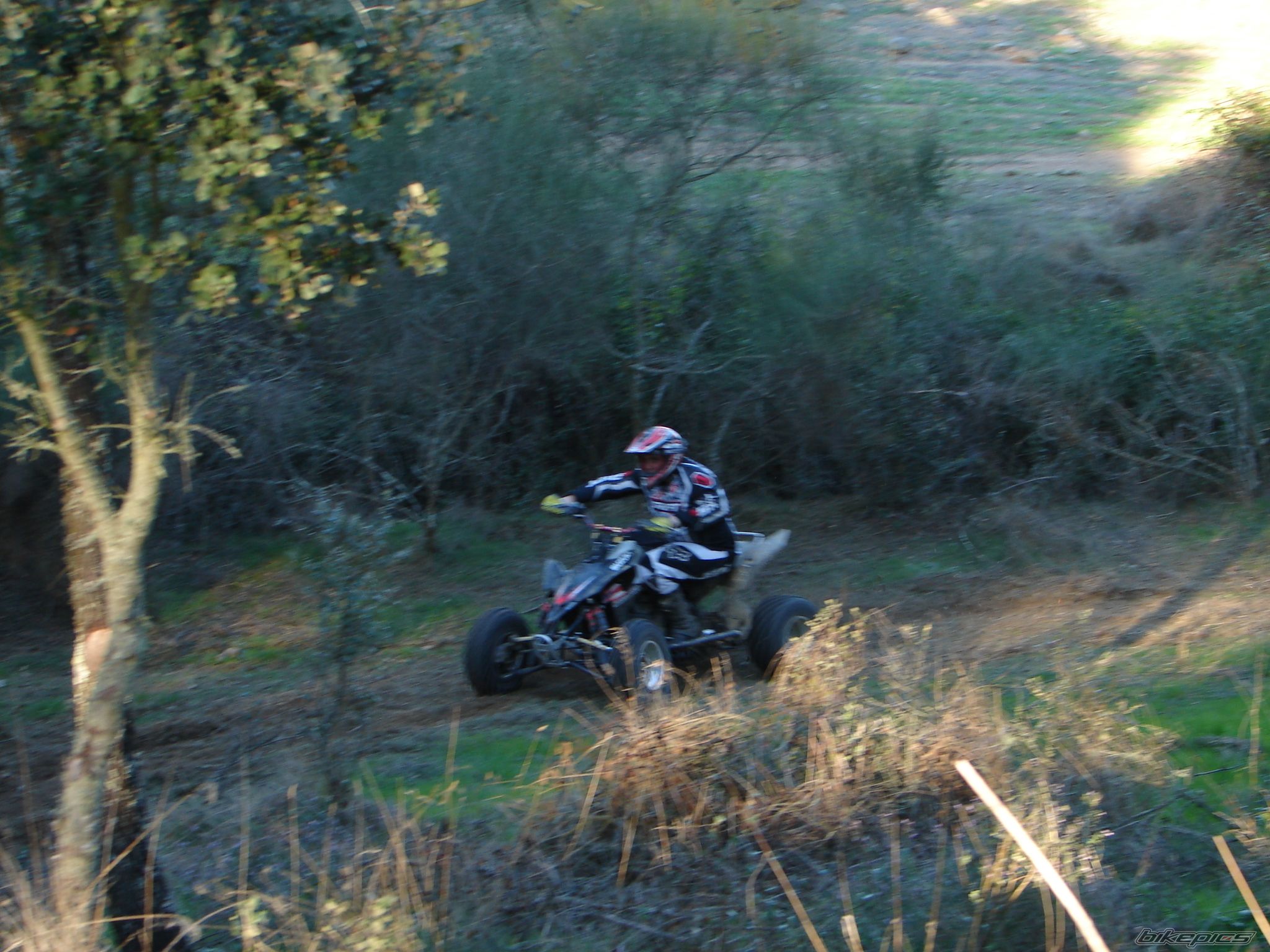 Photo 1570055