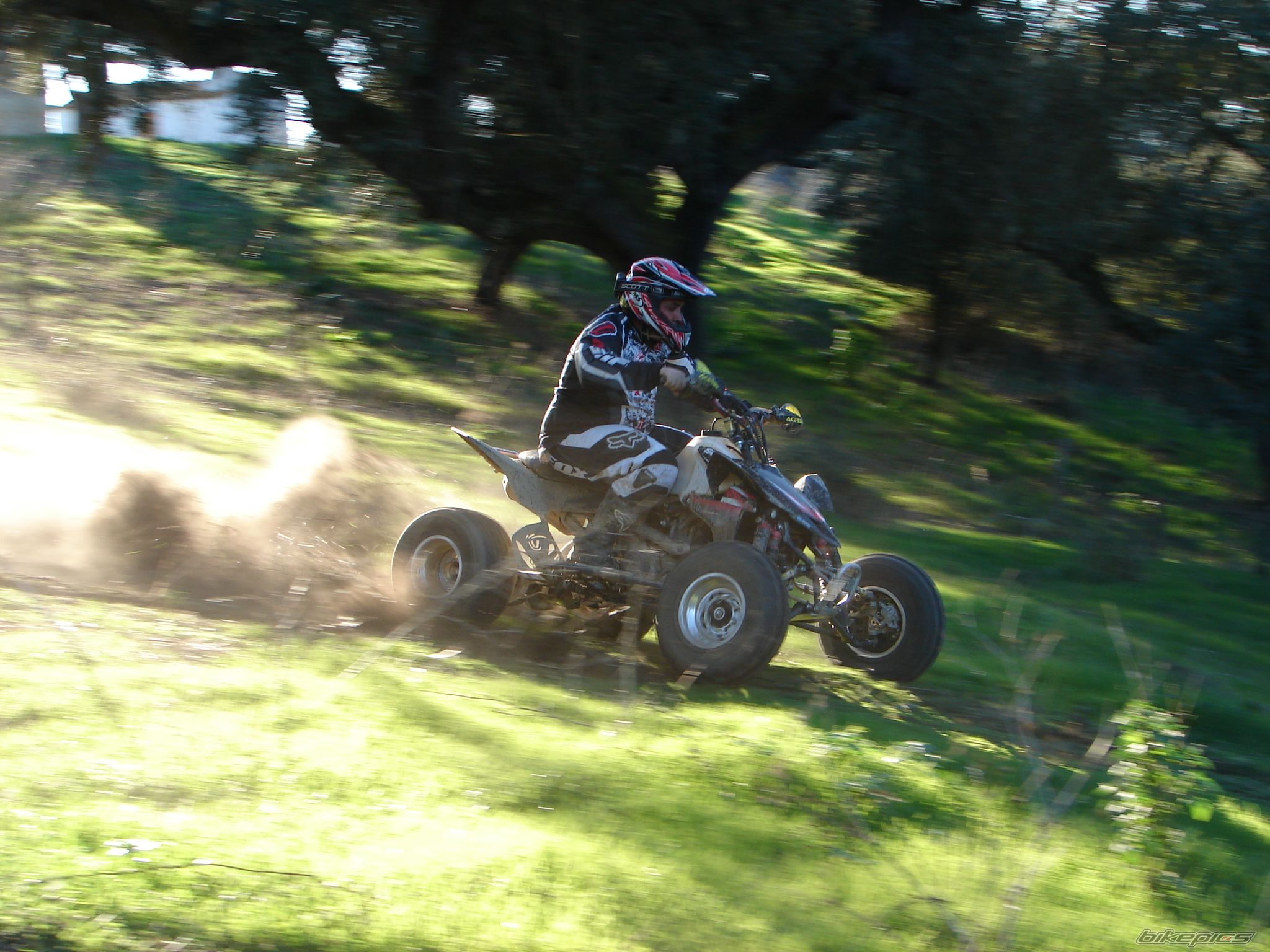 Photo 1570064