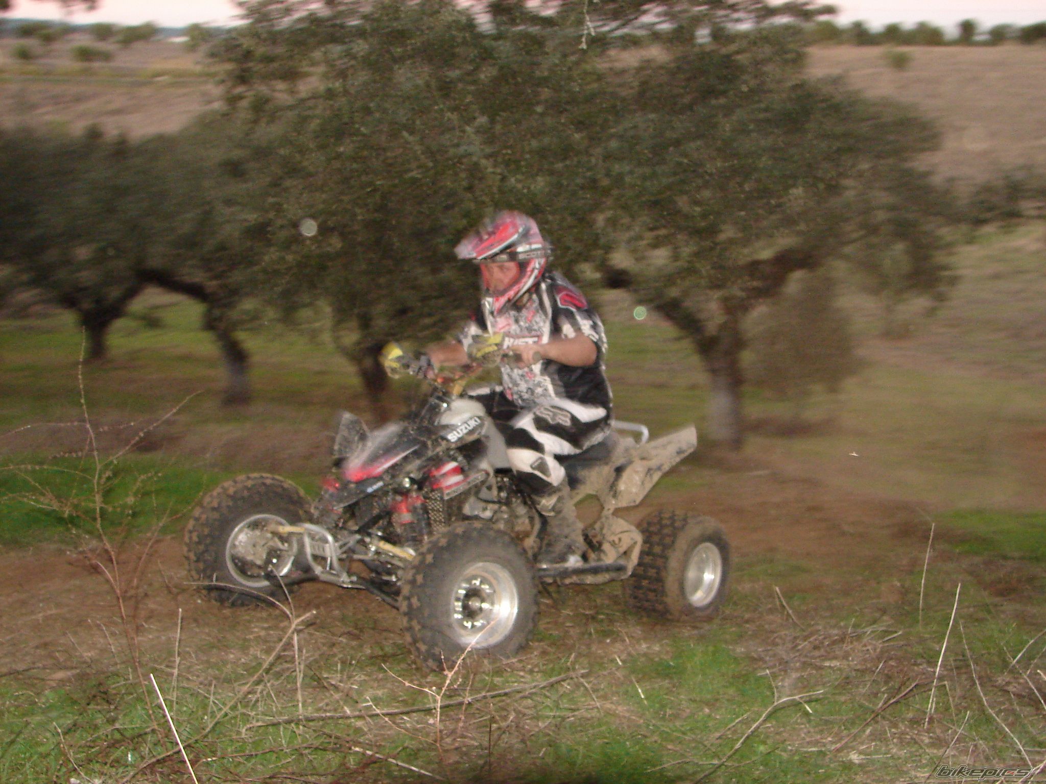 Photo 1570078