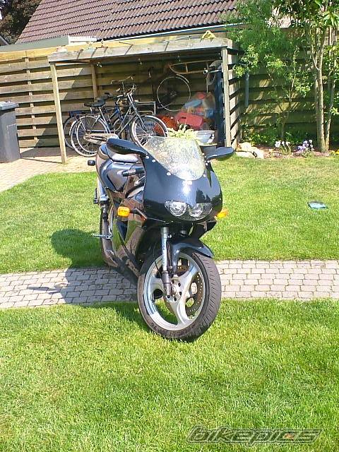 Photo 157061
