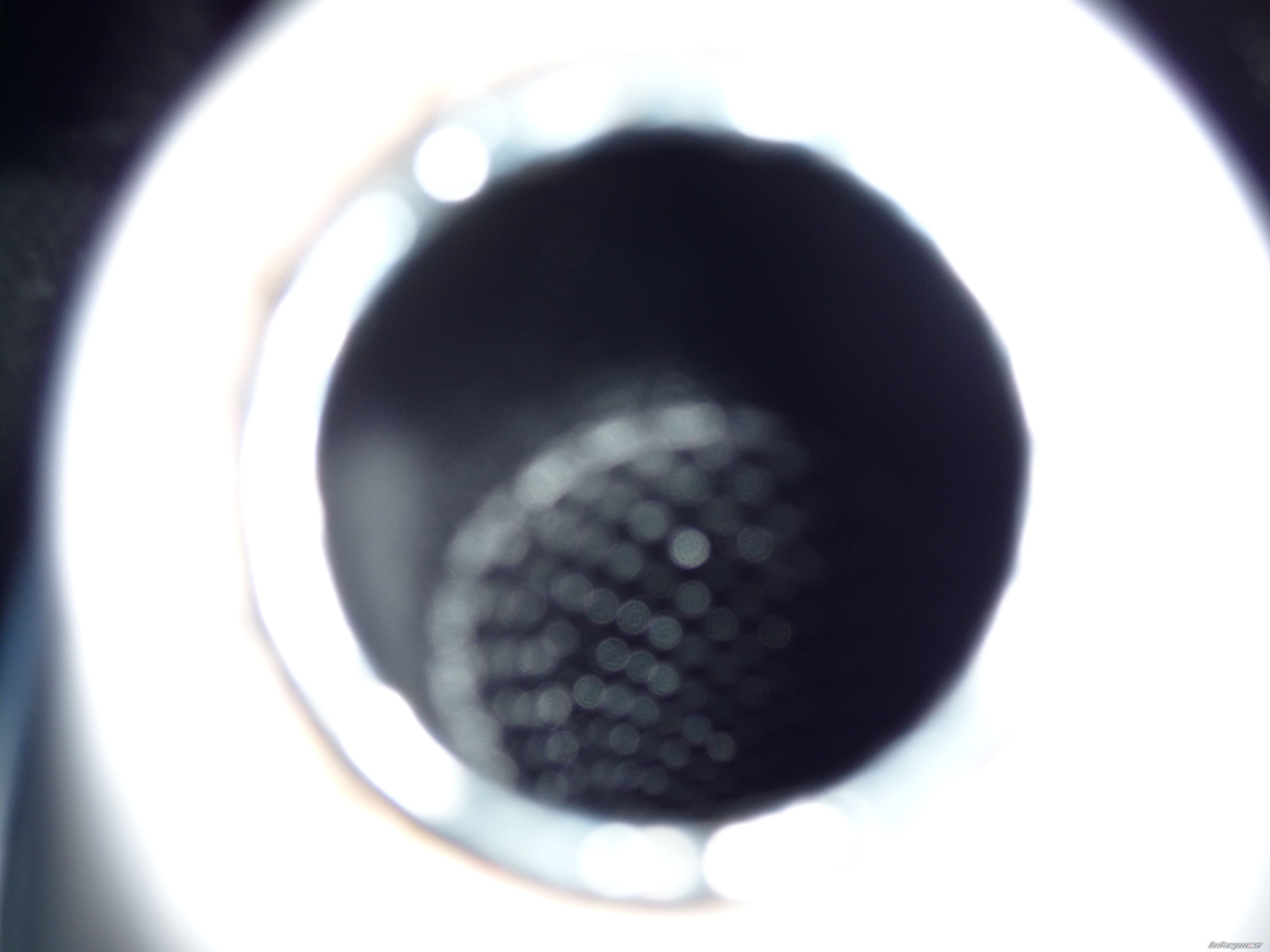 Photo 1570618