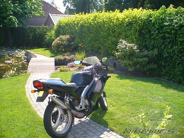 Photo 157063