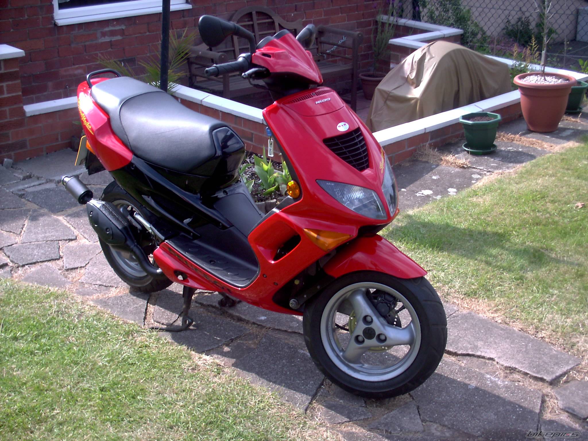 Photo 157068