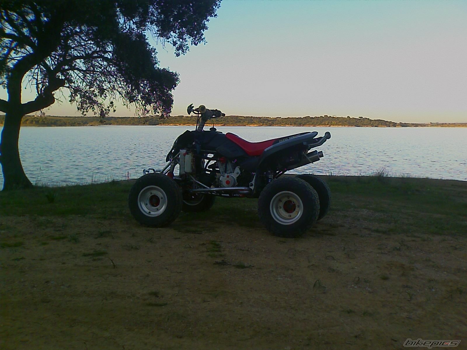 Photo 1570870