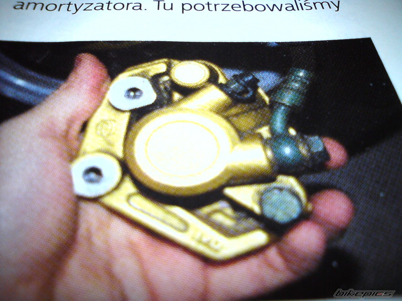 Photo 1570998