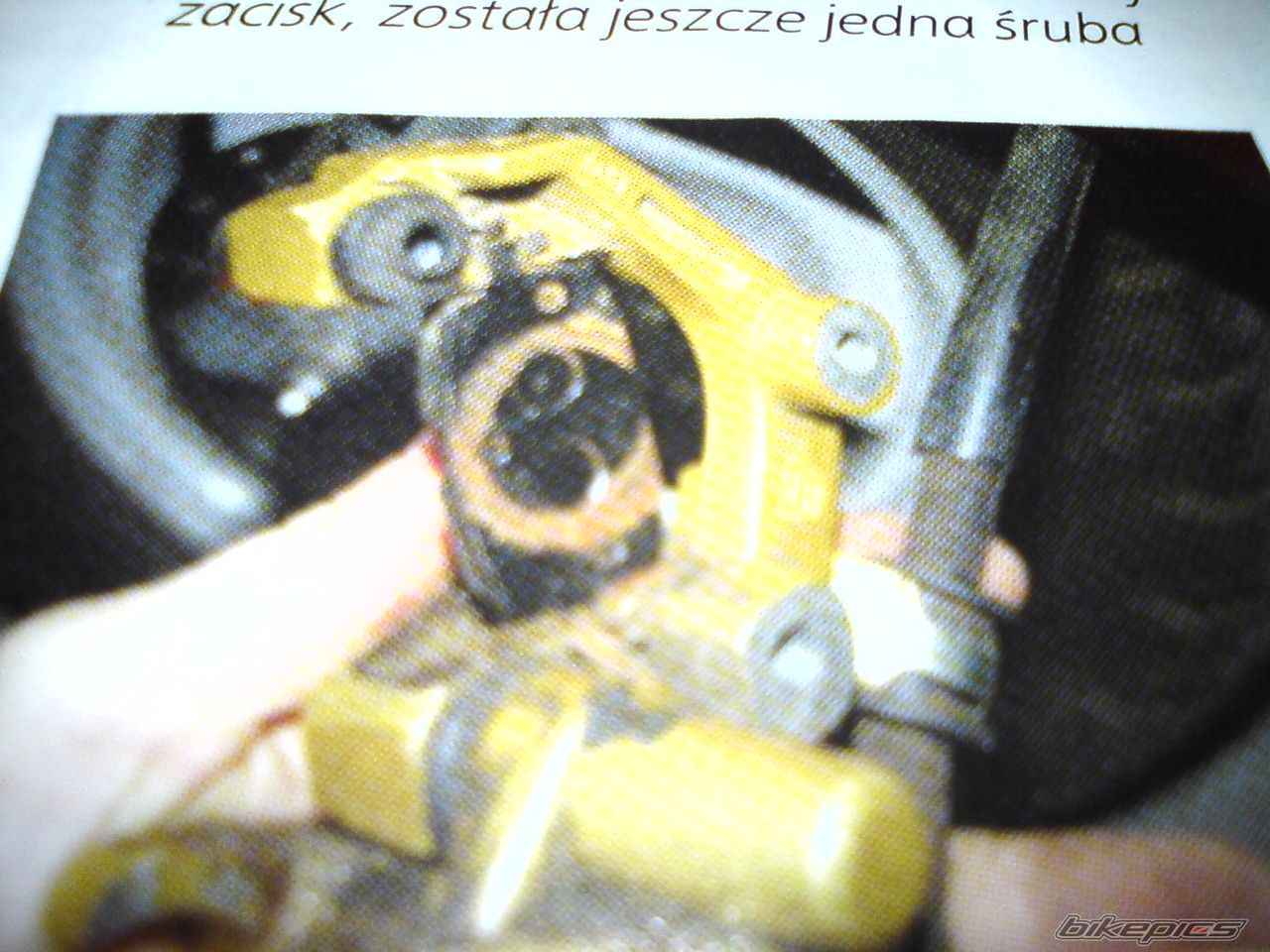 Photo 1571003