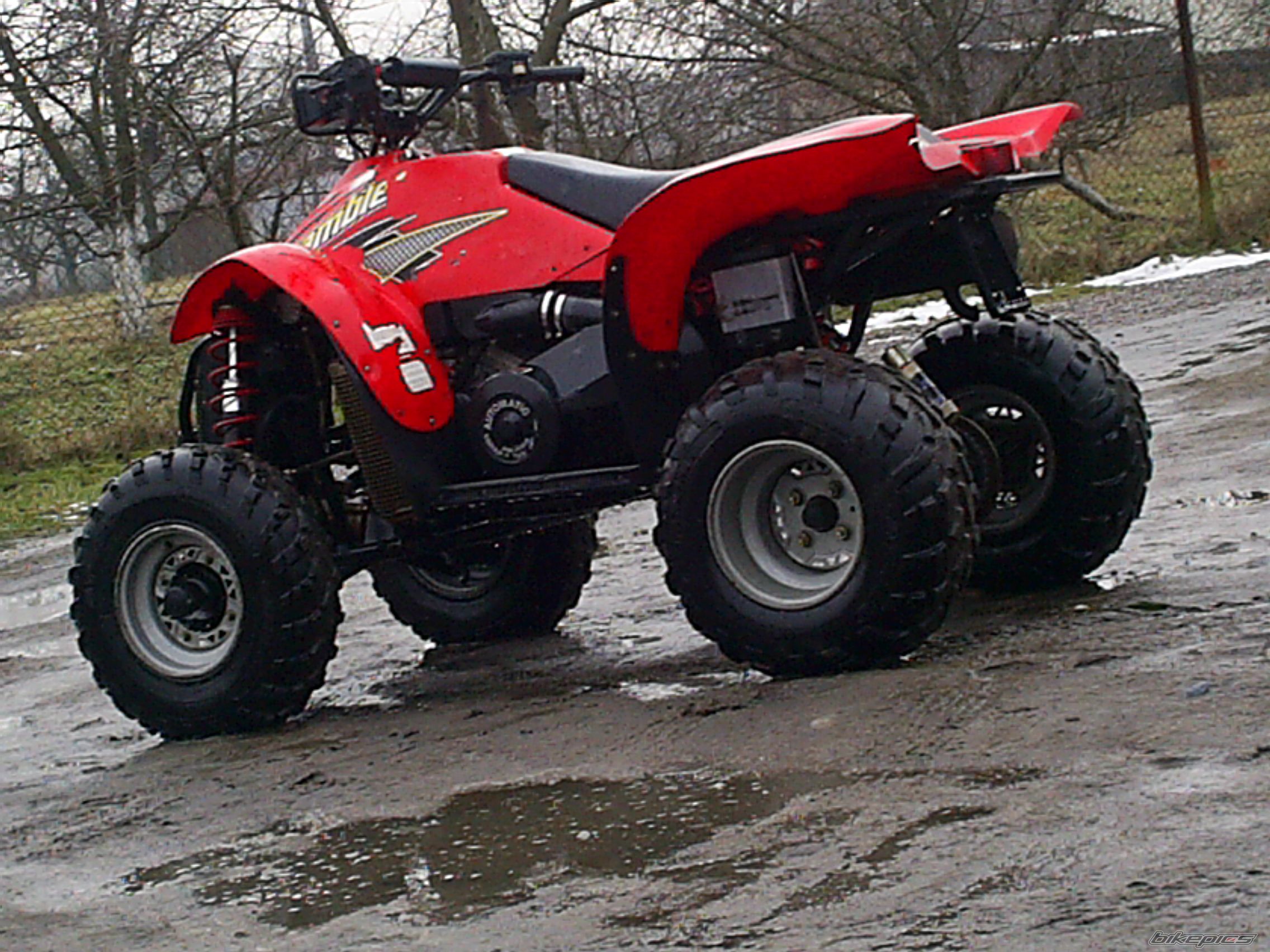 Photo 1571094