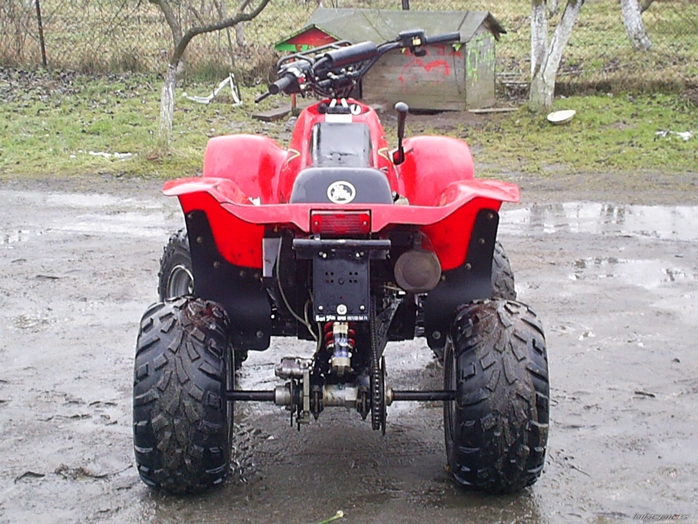 Photo 1571157