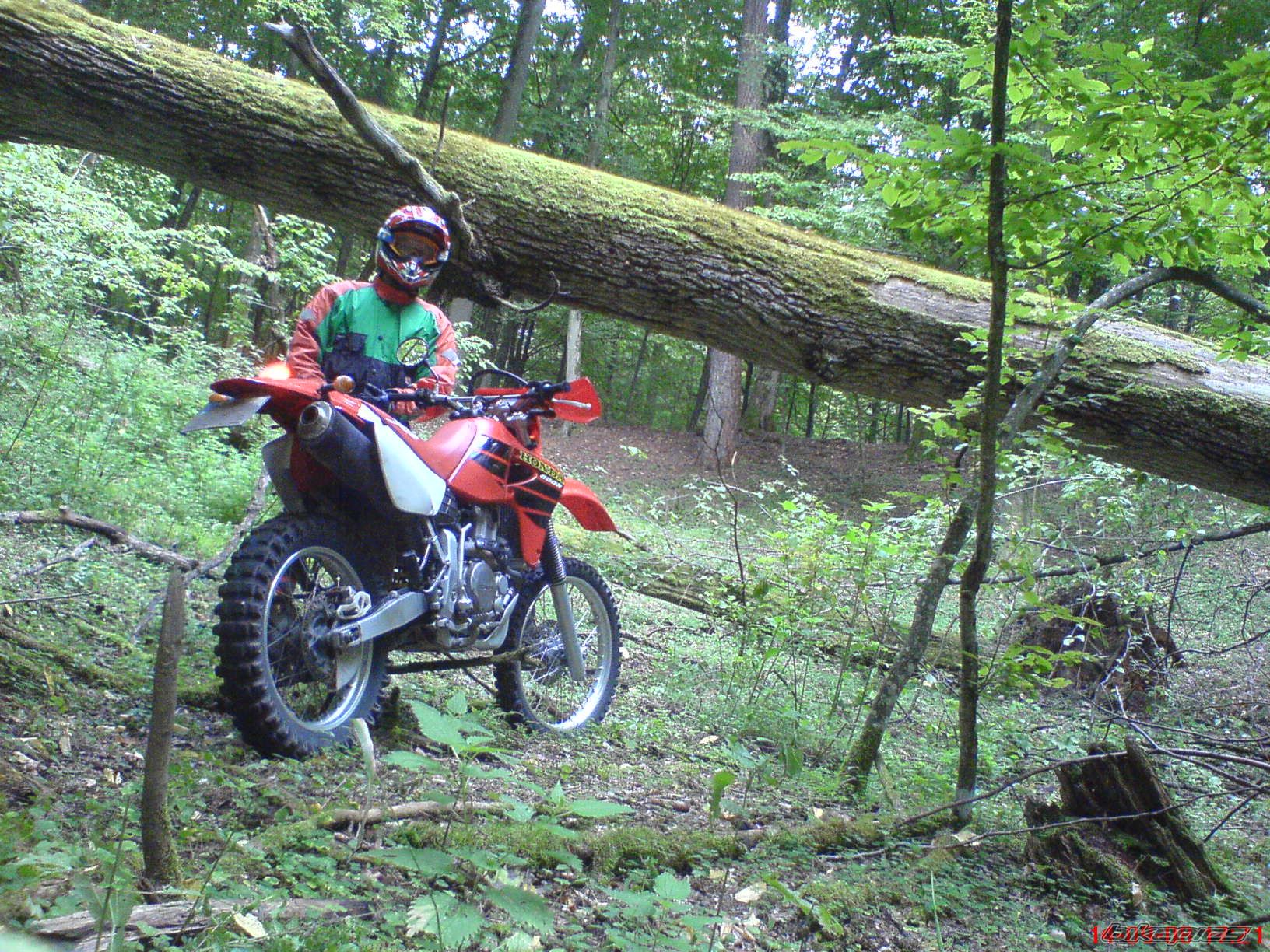 Bike Photo 1571163