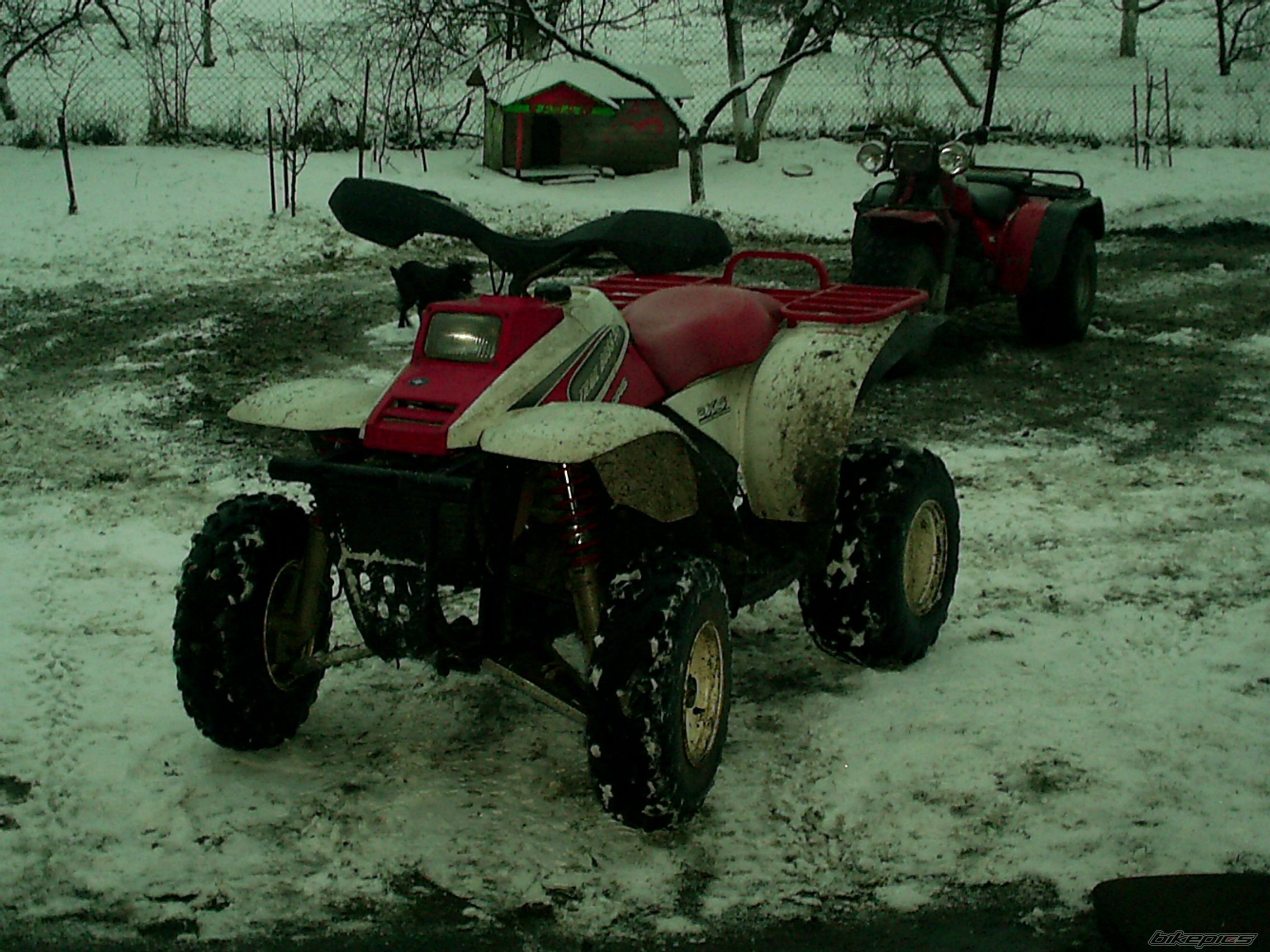 Photo 1571195