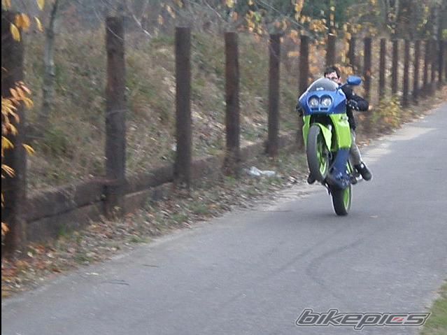 Photo 1571232