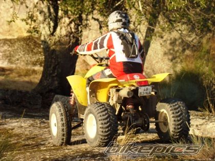 Photo 1571241