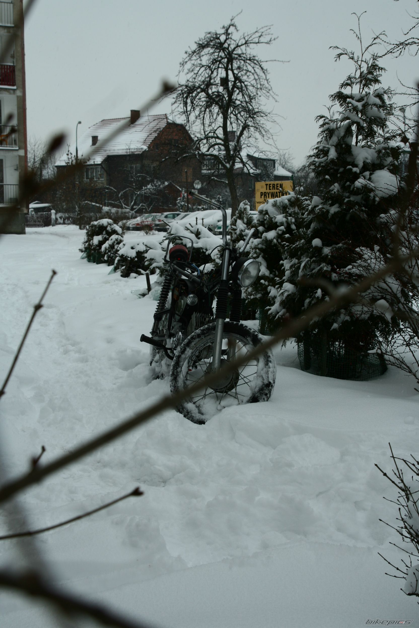 Photo 1571267
