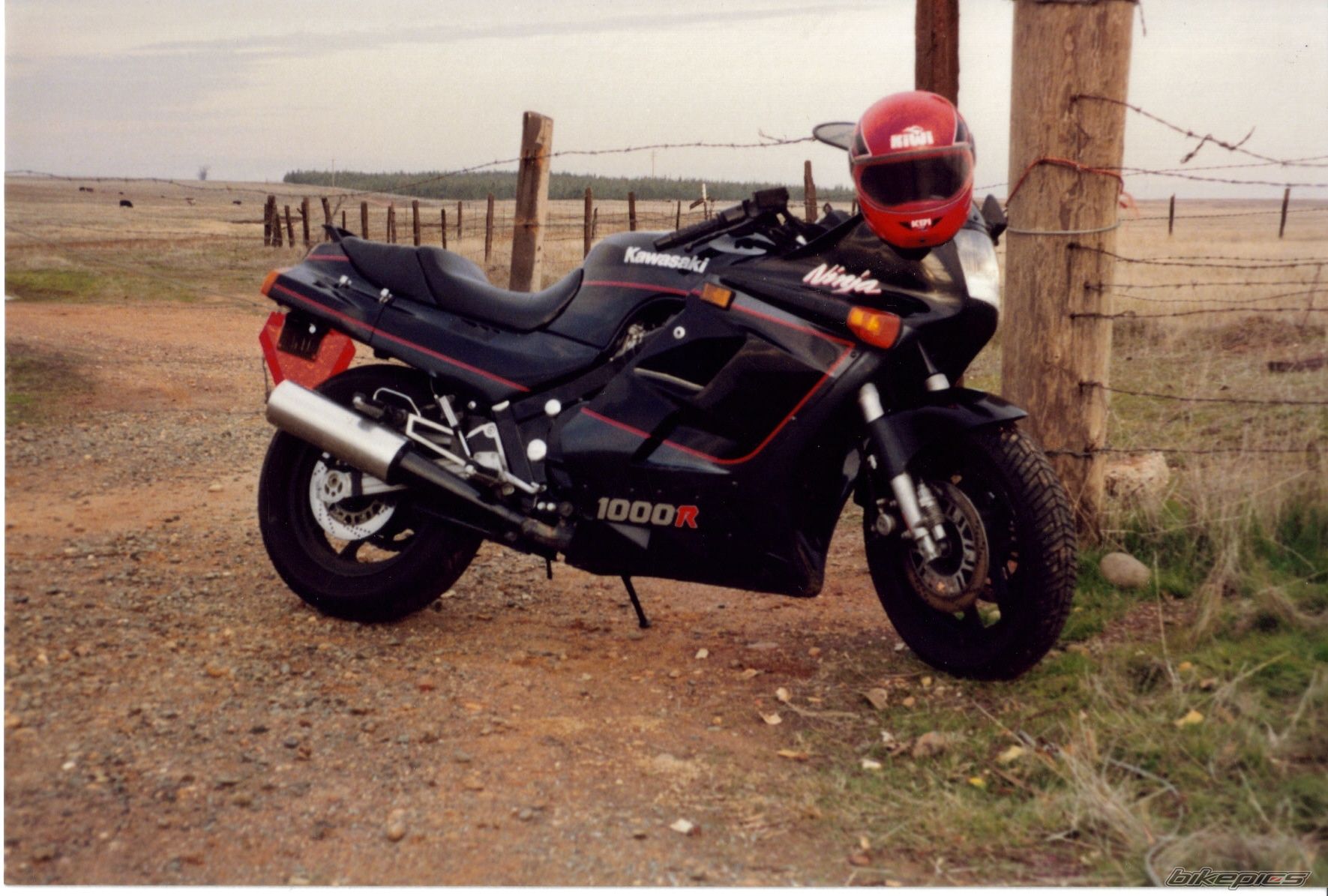 Photo 1571327