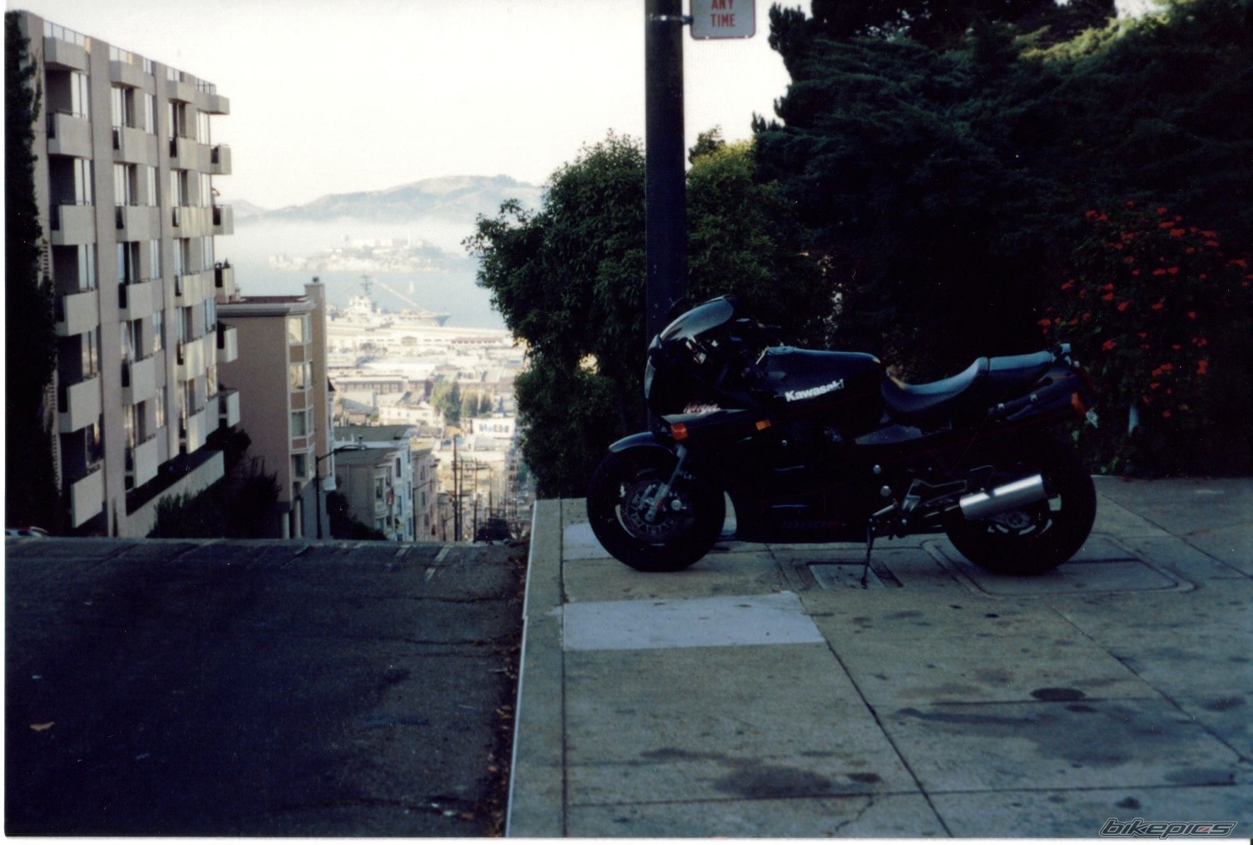 Photo 1571329
