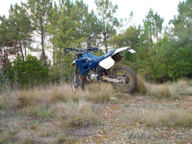 Photo 157134