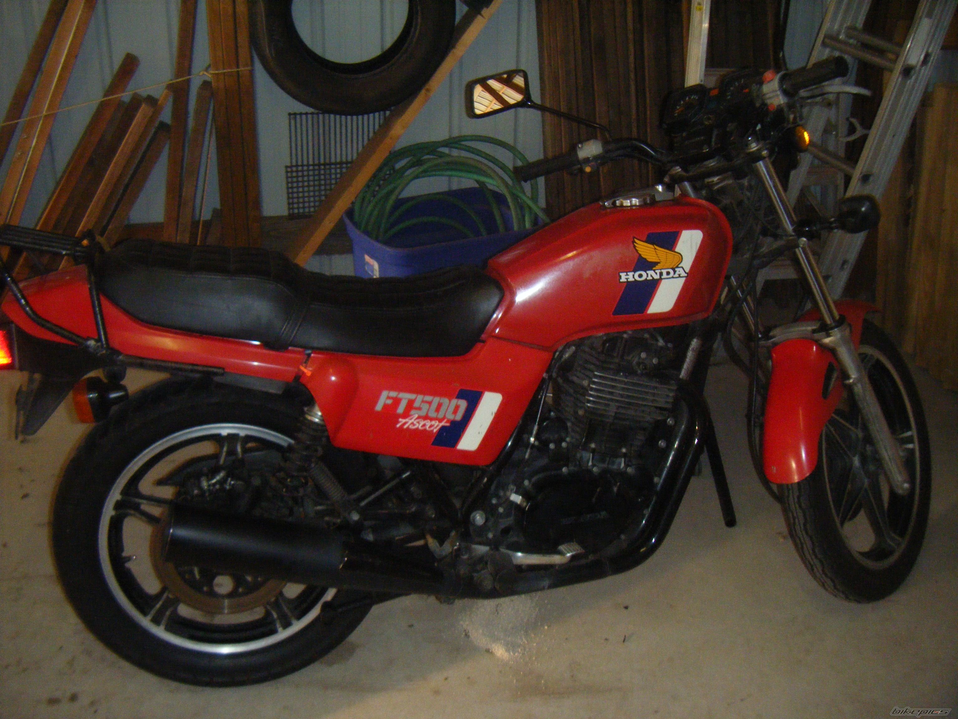 Photo 1571359